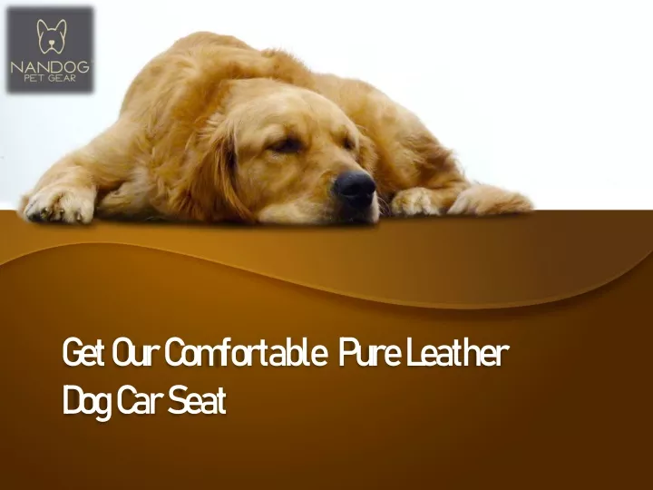 get our comfortable pure leather dog car seat