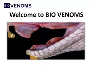 Buy Hypnale Hypnale Venom Online - BIO VENOMS