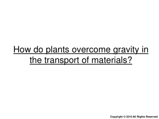 how do plants overcome gravity in the transport