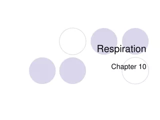 respiration