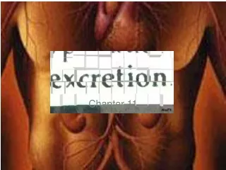 chapter 11
