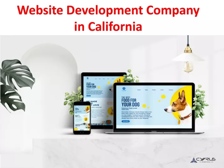 website development company in california