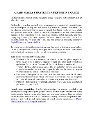 a paid media strategy a definitive guide