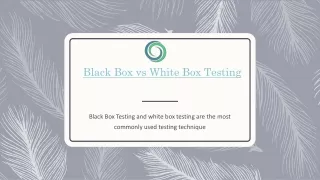 black box vs white b ox testing