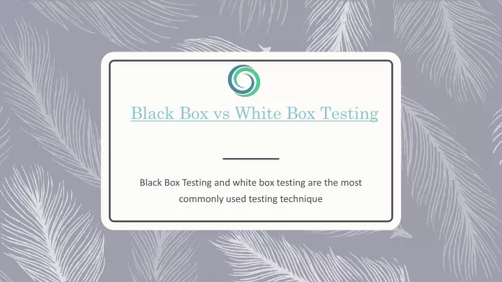 black box vs white b ox testing