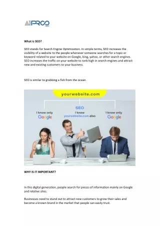 Search Engine Optimization (SEO)