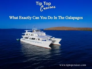 What Exactly Can You Do In The Galapagos