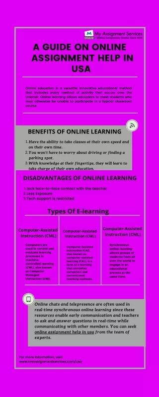 a guide on online assignment help in usa