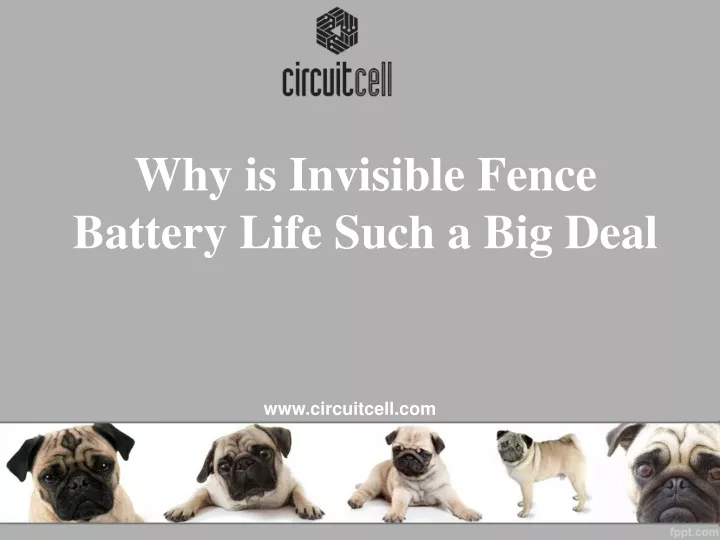 why is invisible fence battery life such a big deal