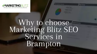 why to choose marketing blitz seo services
