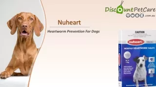 Buy Nuheart Heartworm Tablets For Dogs | DiscountPetCare