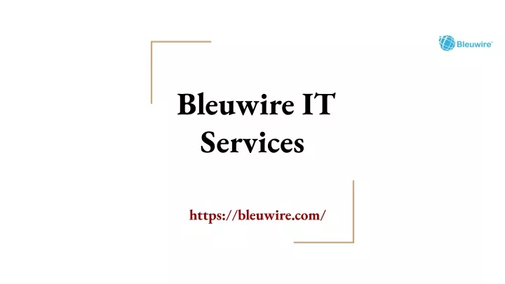 bleuwire it services