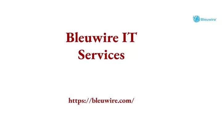 bleuwire it services