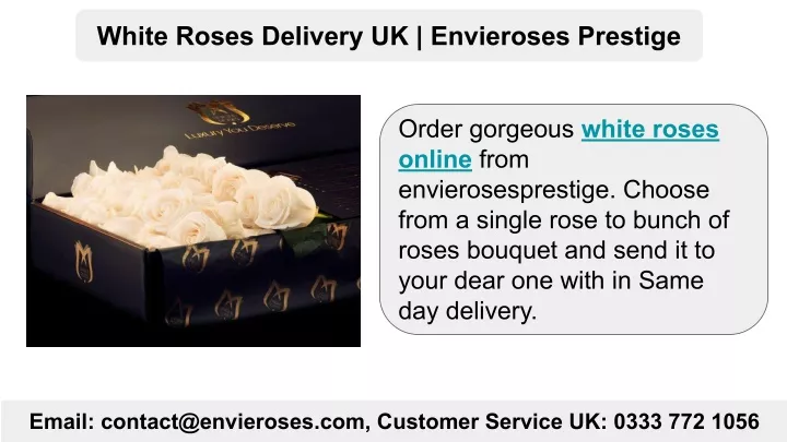 white roses delivery uk envieroses prestige