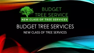 Would you like to want Tree Removal Service in CA?