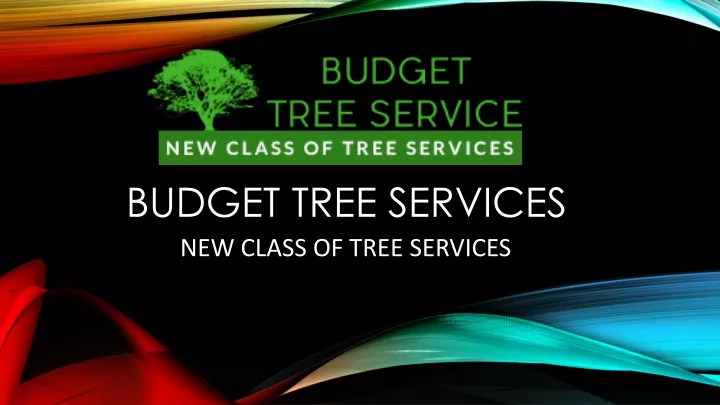 budget tree services