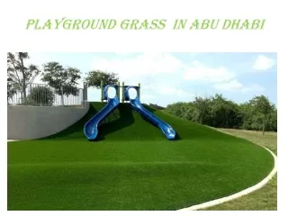 playground grass in abu dhabi