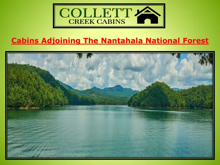 cabins adjoining the nantahala national forest