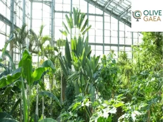 Climate friendly products