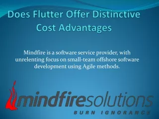 mindfire is a software service provider with