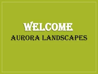 welcome