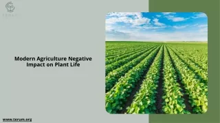 Modern Agriculture Negative Impact on Plant Life