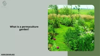 What is a permaculture garden