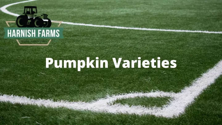 pumpkin varieties