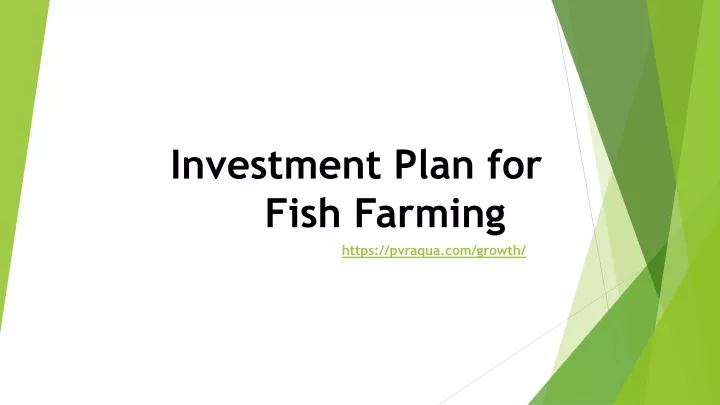 investment plan for fish farming