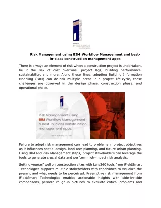 risk management using bim workflow management