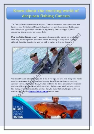 Know about the exciting world of deep-sea fishing Cancun