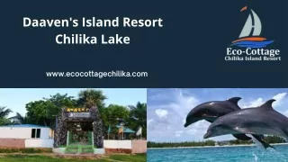 daaven s island resort chilika lake