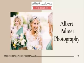 Destination Wedding Photography  - Albert Palmer