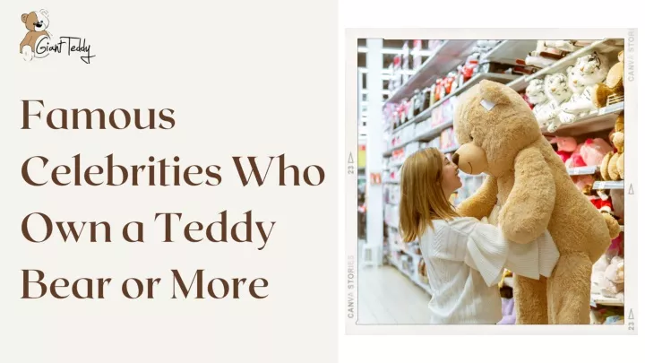 famous celebrities who own a teddy bear or more