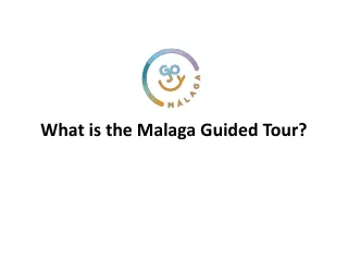 Malaga Guided Tour