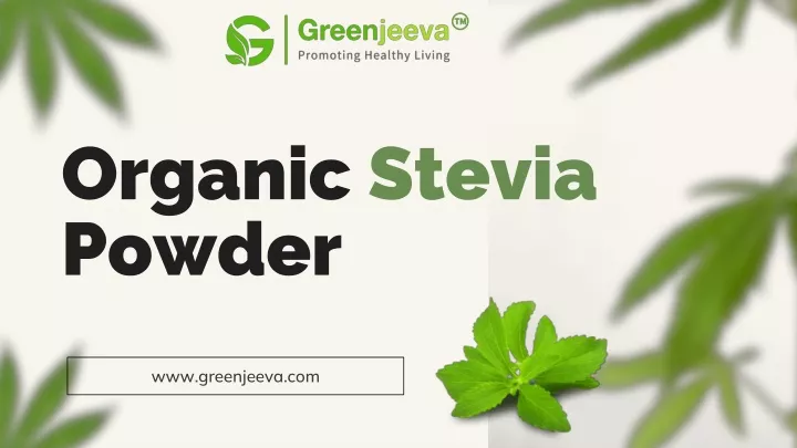 organic stevia powder