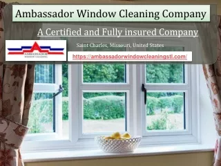 Window Cleaning Company St Louis