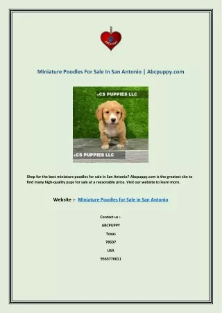 miniature poodles for sale in san antonio