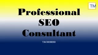 Professional SEO Consultant