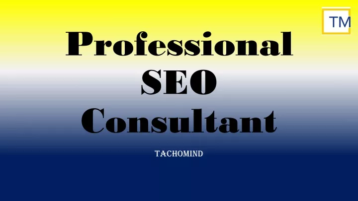 professional seo consultant