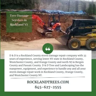tree damage services in rockland ny