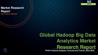 Hadoop Big Data Analytics Market Expand at a Steady 2022-2030