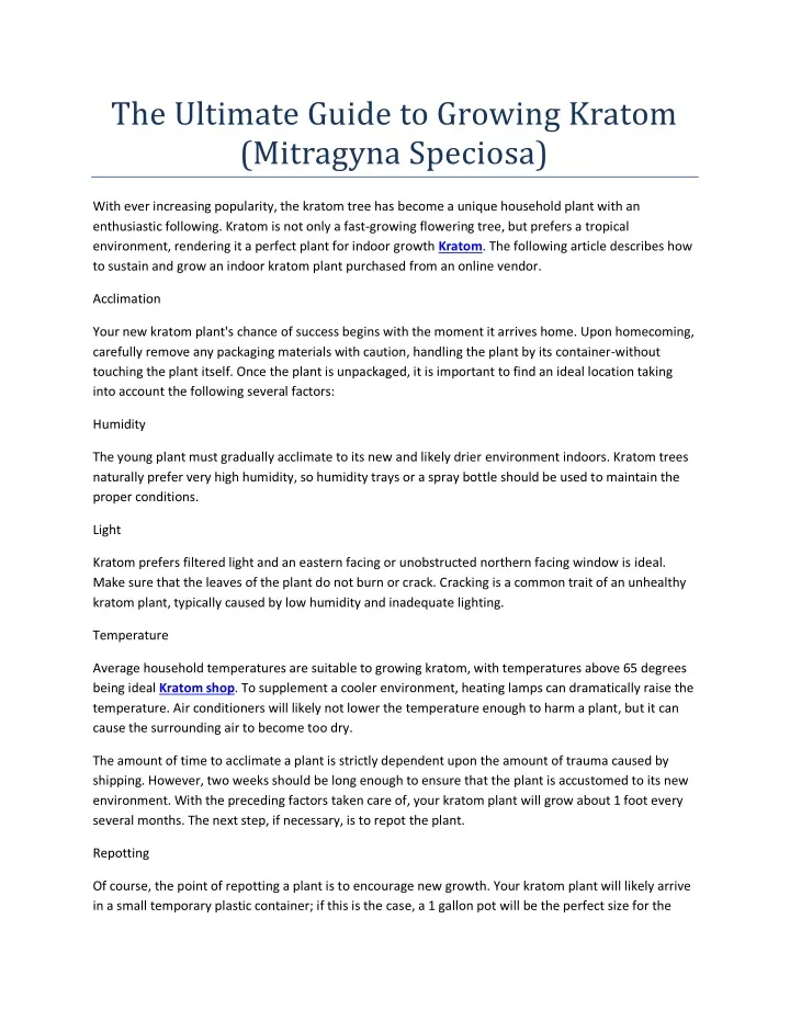 the ultimate guide to growing kratom mitragyna