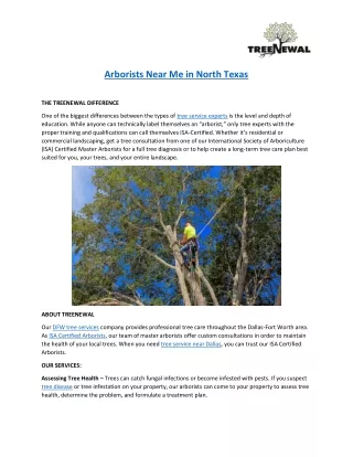 Arborists Near Me | ISA-Certified Arborist | North Texas