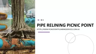 pipe relining picnic point