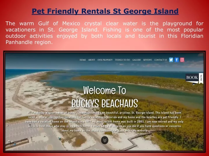 pet friendly rentals st george island