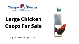 large chicken coops for sale