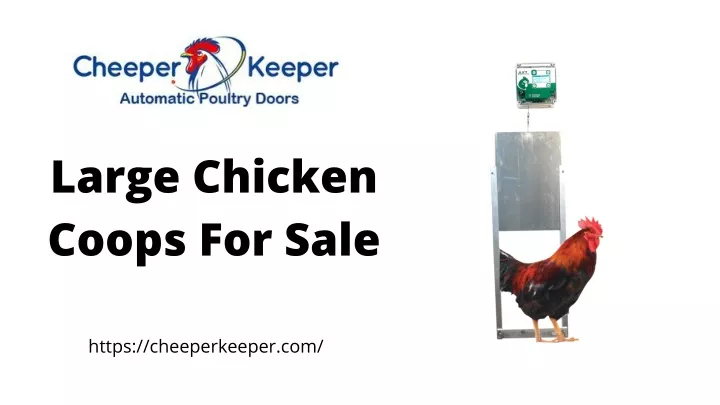 large chicken coops for sale