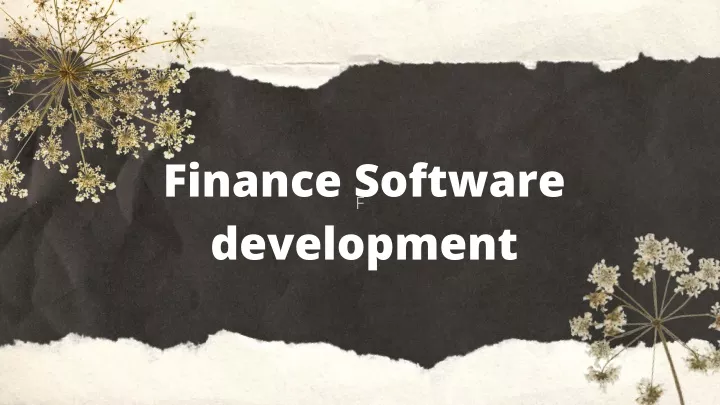 finance software development