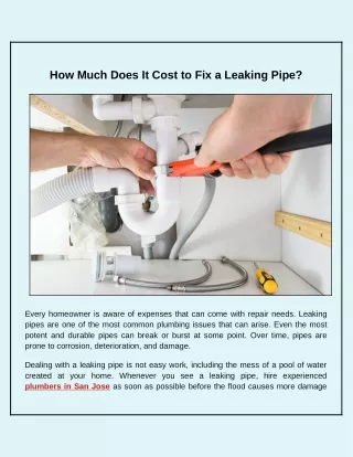 how much does it cost to fix a leaking pipe
